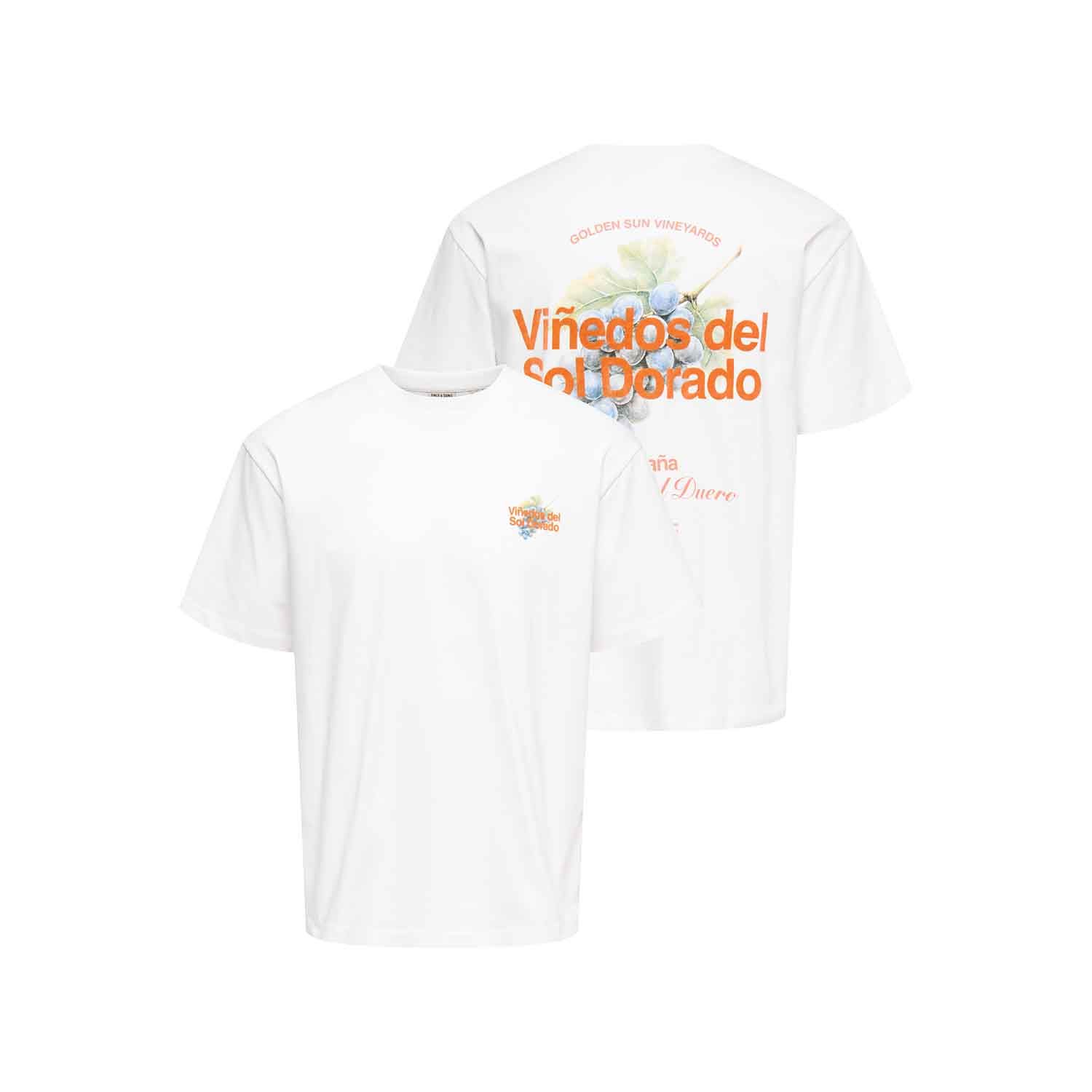 ONLY & Sons Fred Life Print T-Shirt