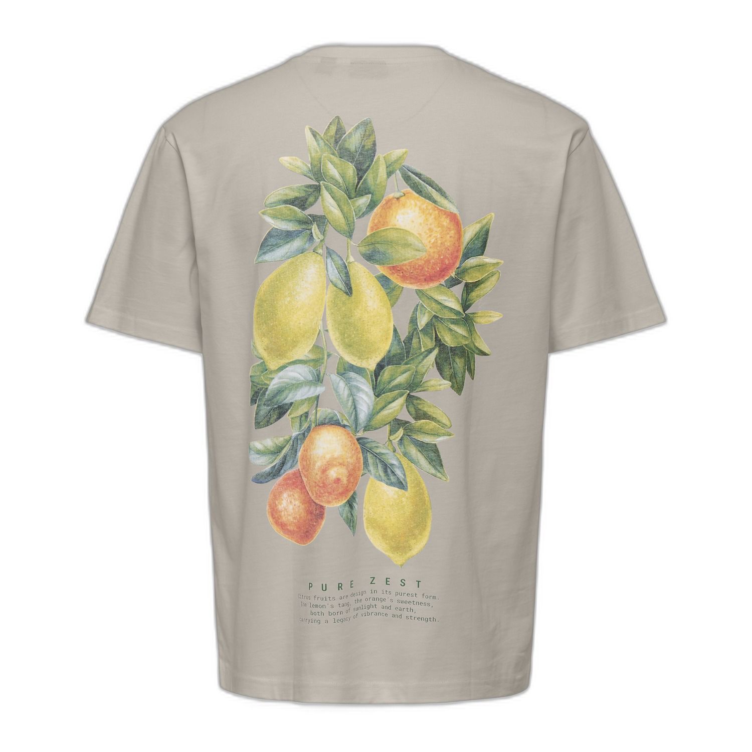 ONLY & Sons Fred Life Print T-Shirt
