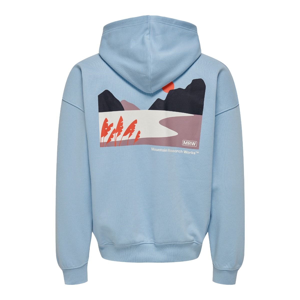 ONLY & Sons Brennan Regular Hoodie