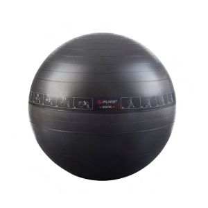 Pure 2 Improve Exercise Ball 65 cm