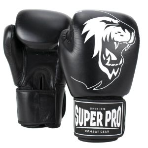 Super Pro Warrior