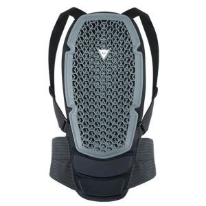 Dainese Pro Armor Back Protector