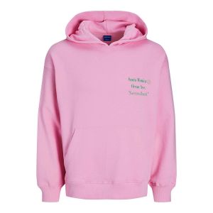 Jack & Jones Exotic Sweat Hood