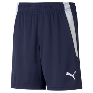 PUMA Teamliga Shorts Kids