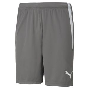 PUMA Teamliga Shorts 