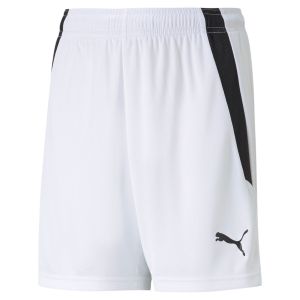 PUMA Teamliga Shorts Kids