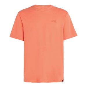 O'Neill T-shirt Small Logo