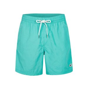 O'Neill Vert 16 Swimshorts
