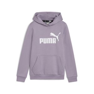 PUMA Essentials Logo Hoodie Kids