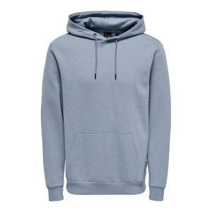 ONLY & Sons Brennan Regular Hoodie