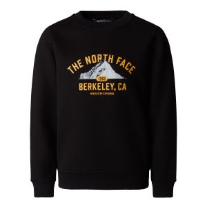 The North Face Varsity Relaxed Crew Kids