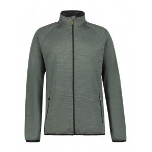 Icepeak Bridgman