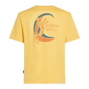 O'Neill O'riginals Vintage Graphic T-Shirt