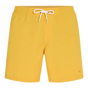 O'Neill Vert 16 Swimshorts