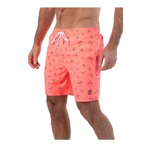 Falcon Swimshort Dray