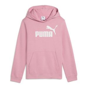 PUMA Essentials No.1 Logo Hoodie Kids