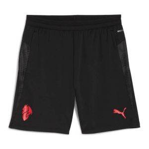 PUMA AC Milan Training Shorts