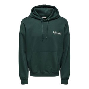 ONLY & Sons Gallery Vintage Hoodie