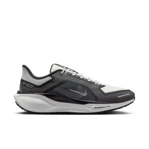 Nike Pegasus 41 Gore-Tex
