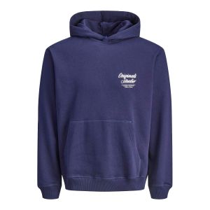 Jack & Jones Typo Back Sweat Hoodie