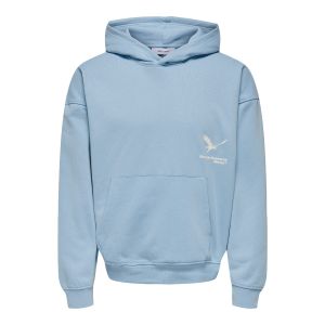 ONLY & Sons Brennan Regular Hoodie